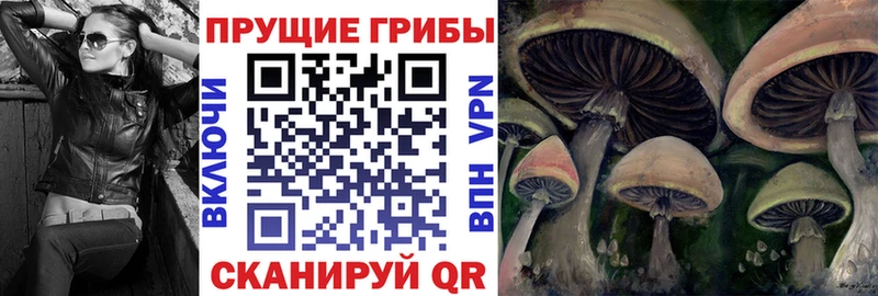 Псилоцибиновые грибы Psilocybe  мориарти клад  KRAKEN зеркало  Нестеров  даркнет сайт 